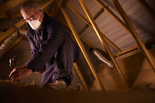 Best Commercial Insulation in Stamps, AR